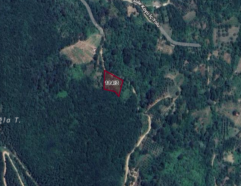 BURSA İNEGÖL SÜLE  KÖYÜNDE 1.676 M² MEYVE BAHÇESİ  SATILIKTIR - BURSA İNEGÖL fotoğraf 15